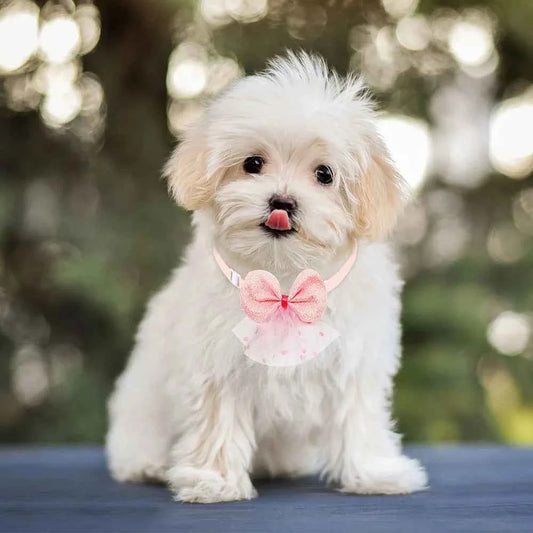 100PCS Spring Dog Bow Tie Cute Lace Dog Grooming Small Dog Cat Bowties Neckties Dogs Pets Grooming Accessories For Small Dogs