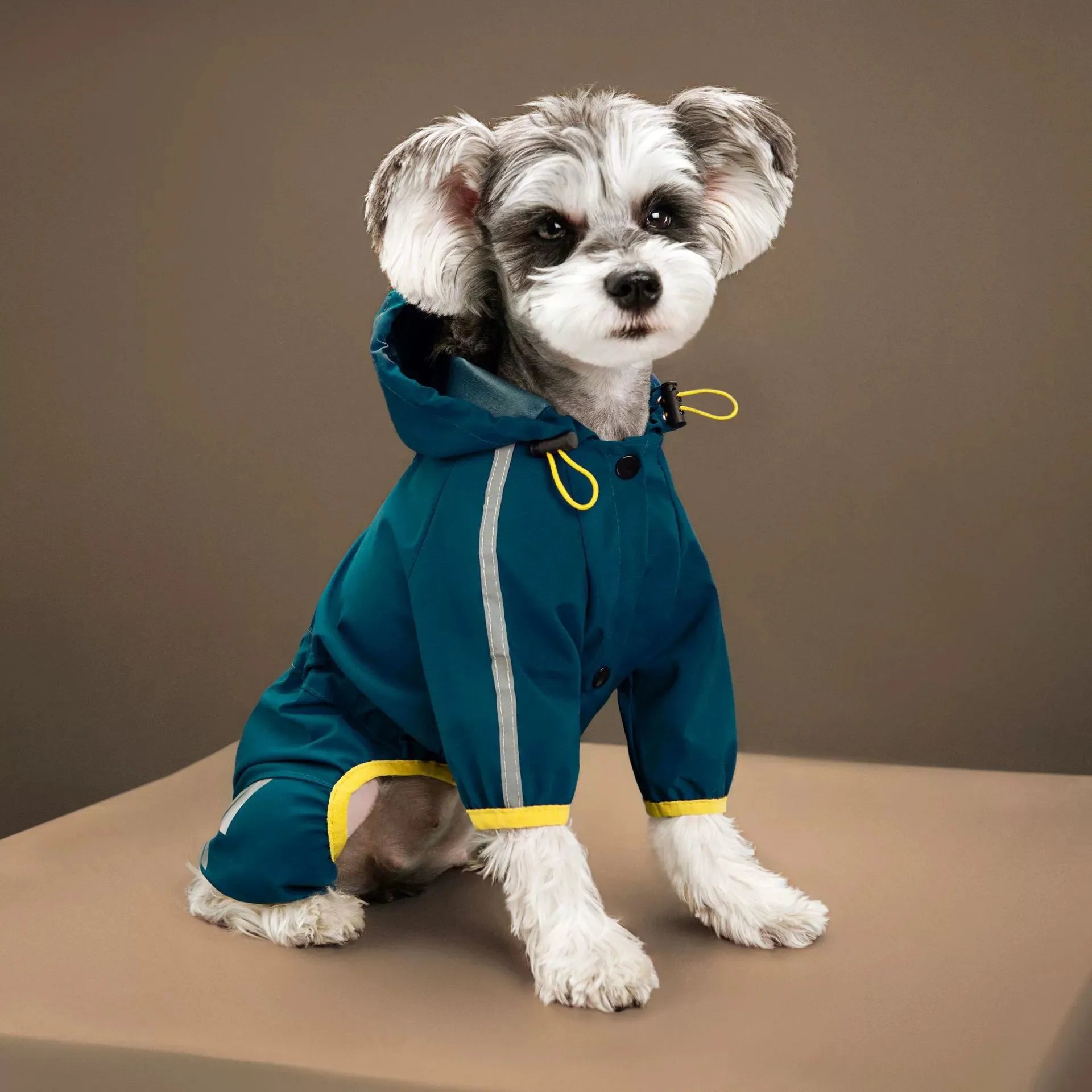 Dog Raincoat All-inclusive Four-legged Waterproof Poncho Teddy Bomei Rainy Day Pet Clothes Small Medium Dog Raincoat