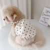 Luxury Dog Dress for Small Dogs Summer Puppy Clothes Bow Lace Dog Skirt Black White Dog T Shirt Girls Dog Costume Chihuahua Vest