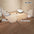 Pet Fence Kitten Isolation Door Dog Cage Kitten Guardrail Iron Small Size Dogs Teddy Indoor Kennel Home Rabbit Fence Cat Cage - Play Paws Toys