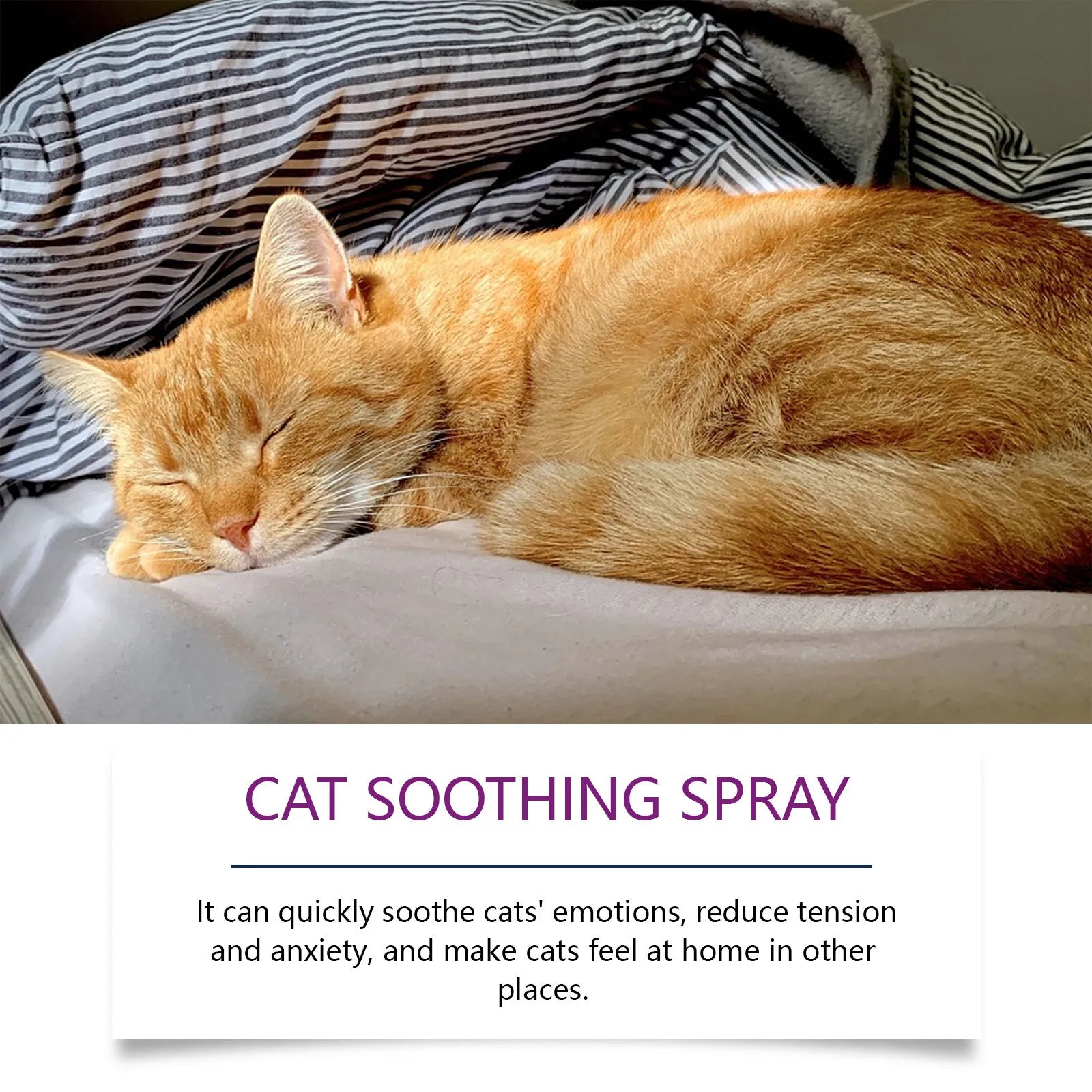60ml Pet Calming Spray Prevent Howling Reduce Anxiety Soothe Mood Pet Dog Cat Estrus Calming Prohibition Spray Pet Supplies