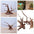 Natural Tree Trunk Driftwood Aquarium Fish Tank Reptile Cylinder Roots Plant Wood Decoration Ornament Accessory Aquarium Plants