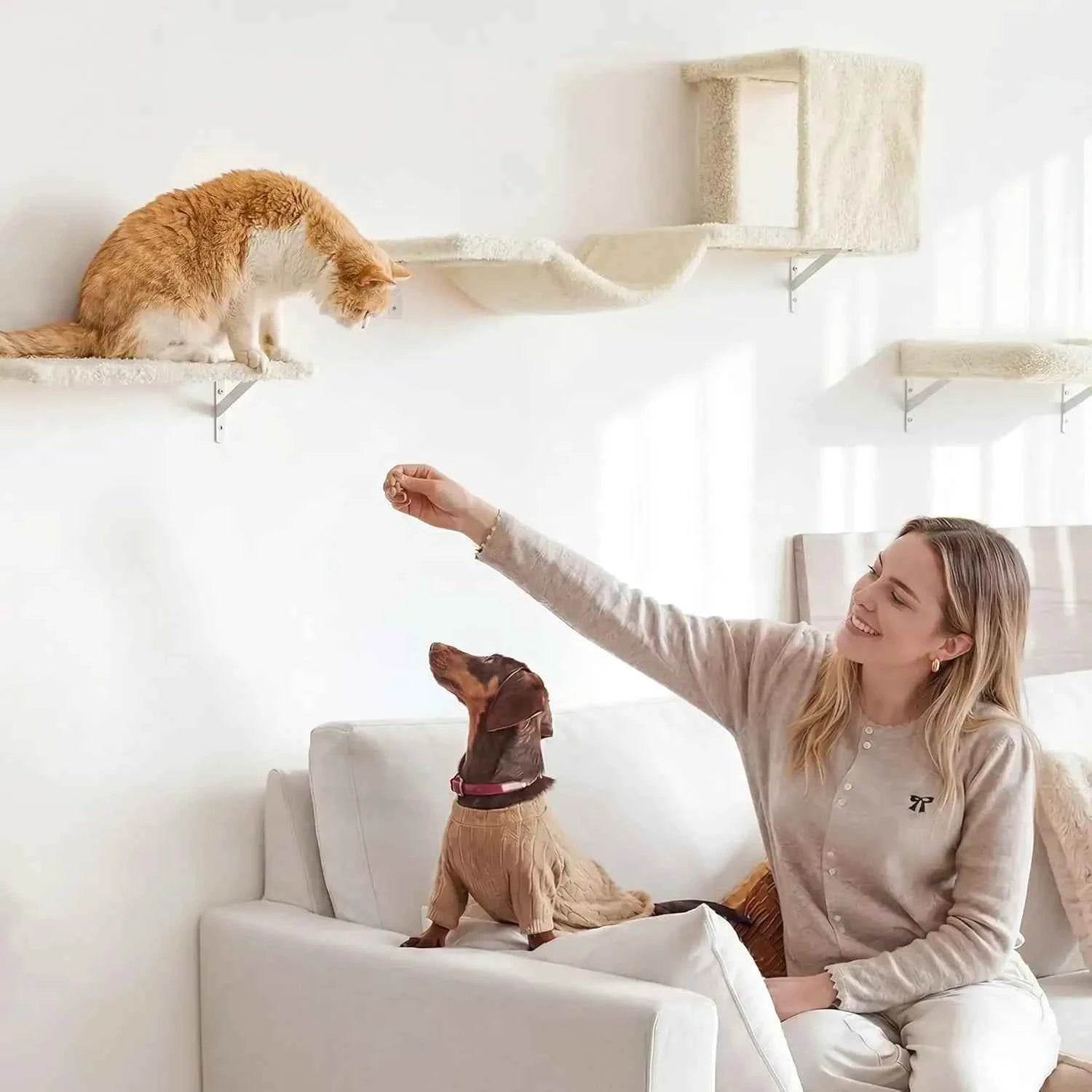 Cat Wall Shelves 5-in-1 Set, Stable & Safe Wooden Climbing Wall with Scratching Post for 16" Drywall - Beige