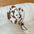 Pet Hat Cat Bucket Hat Dog Sun Hat Pet Accessories Suitable for Small and Medium Dogs and Cats