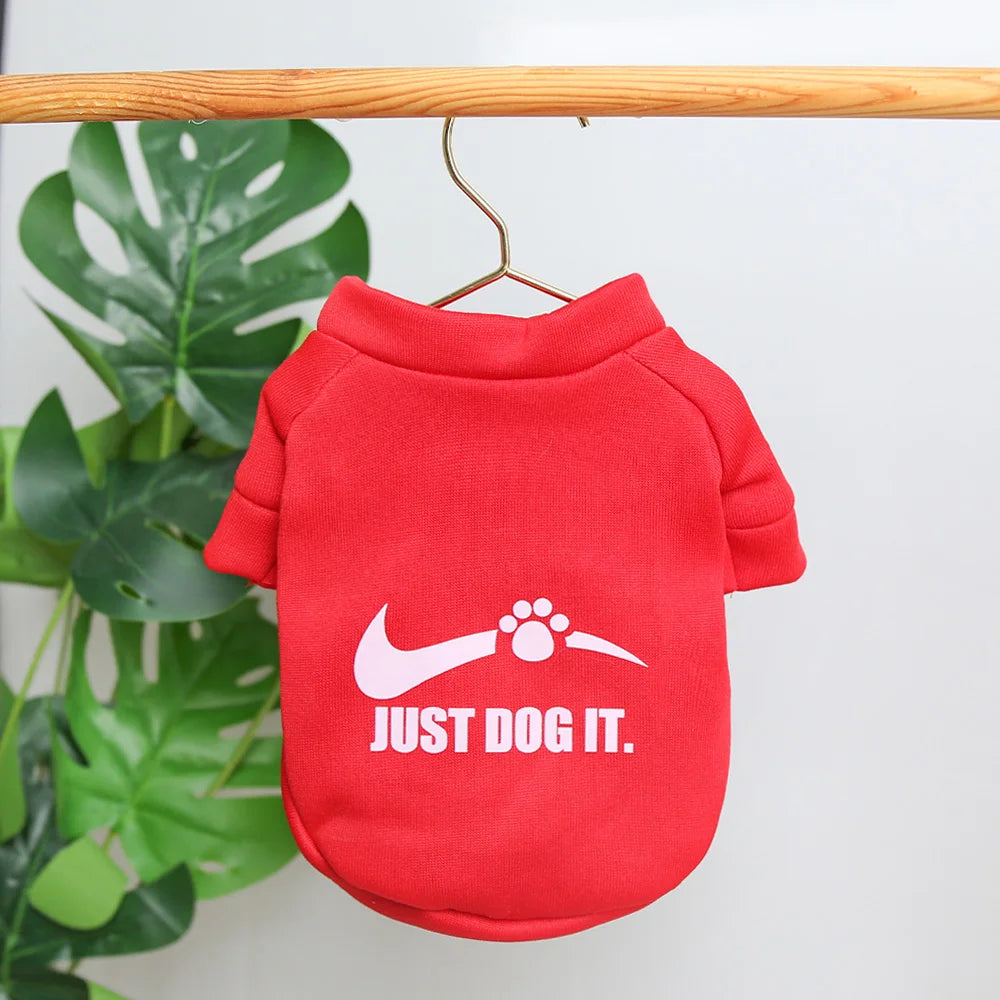 Autumn and winter pet clothes, cute English letter velvet round neck hoodie, super cute cat and dog universal clothes, fashionab