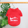 Autumn and winter pet clothes, cute English letter velvet round neck hoodie, super cute cat and dog universal clothes, fashionab