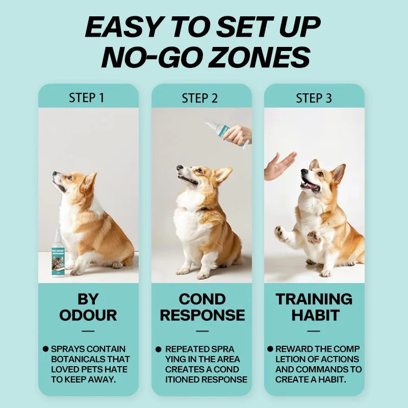 Long Lasting Cat Repellent Spray 120ml Non-Toxic Formula for Furniture Carpets Prevent Urine Marking Indoor Odor Neutralizer