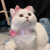 Mary Cat Bow Tie Pet Collar Scarf Cat Necklace Decoration Bichon Puppy Leash Toy Cat Home Garden Pet Supplies Accessories