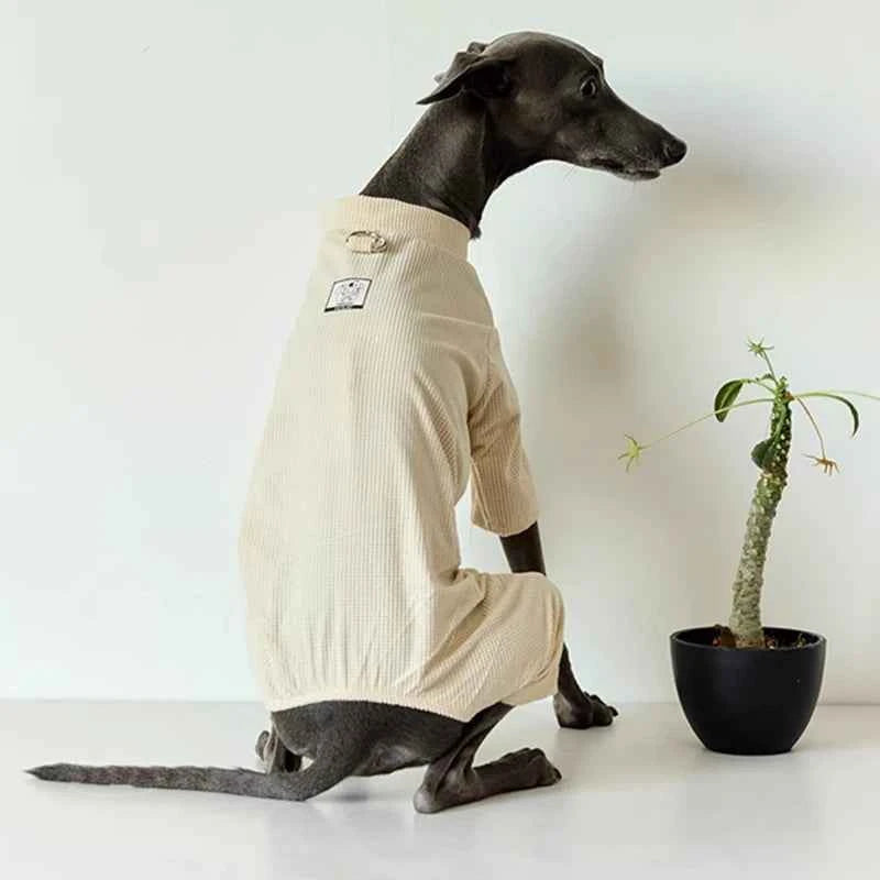 Winter Dog Clothes Jumpsuit Golden Retriever Samoyed Greyhound Husky Labrador Schnauzer Border Collie Big Dog Clothing Apparel