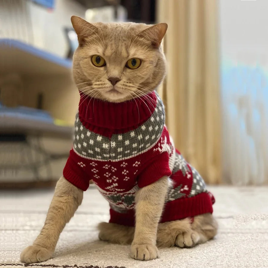 Cute Sphynx Cat Sweater Pullover Winter Warm Pet Clothes for Cats Kedi Kitten Costume Puppy Clothing Mascotas ropa para gatos - Play Paws Toys