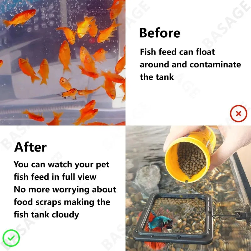 Aquarium Feeding Ring Fish Tank Station Floating Food Tray Feeder Square Circle Accessory Fish Foods Feeder Suction Cup Black