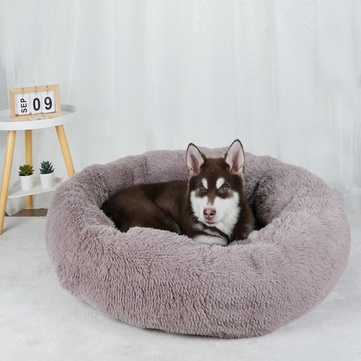 Dog Bed Donut Big Large Round Basket Winter Plush Beds for Dogs Medium Accessories Fluffy Kennel Small Puppy Pets Cat Products
