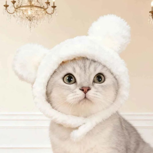 Funny Pet Headband Plush Yarn Panda Pig Chick Cat Dog Warm Cosplay Costume Headdress for Cats Dogs Pets Supplies Accessories