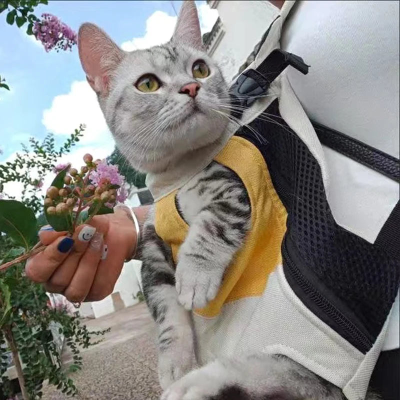 Outdoor Cat Carrier Bags for Cats Walking Riding Pet Tracvel Products Sphynx Kedi Katten mascotas Carrying Backpack mochila gato - Play Paws Toys
