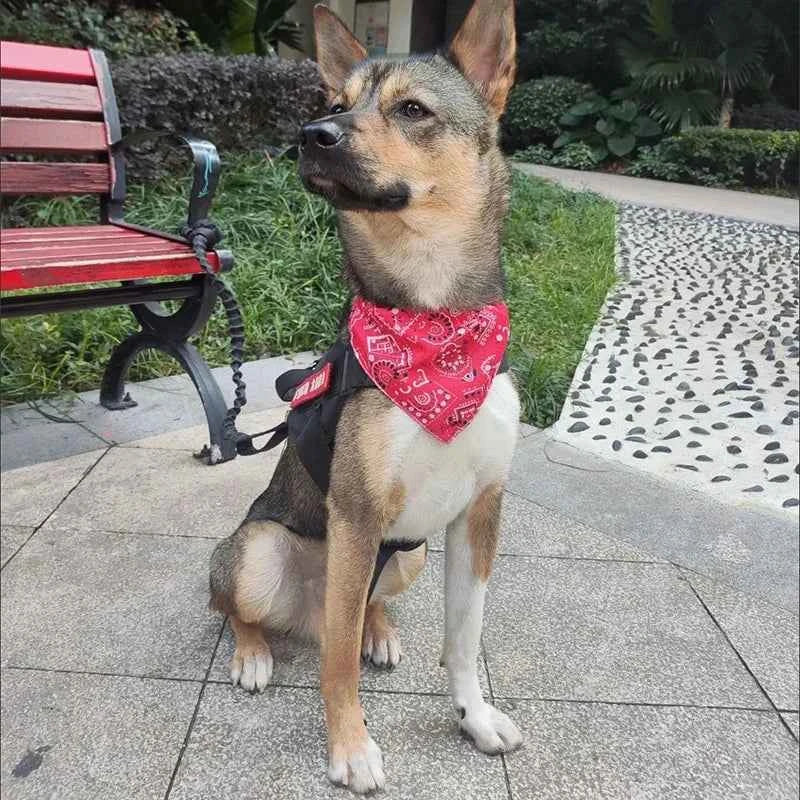 Adjustable Triangular Bandage For Pet Dog Cat Washable Scarf Bandana Collar Bibs Cat Neck Decor Birthday Party Dress Up