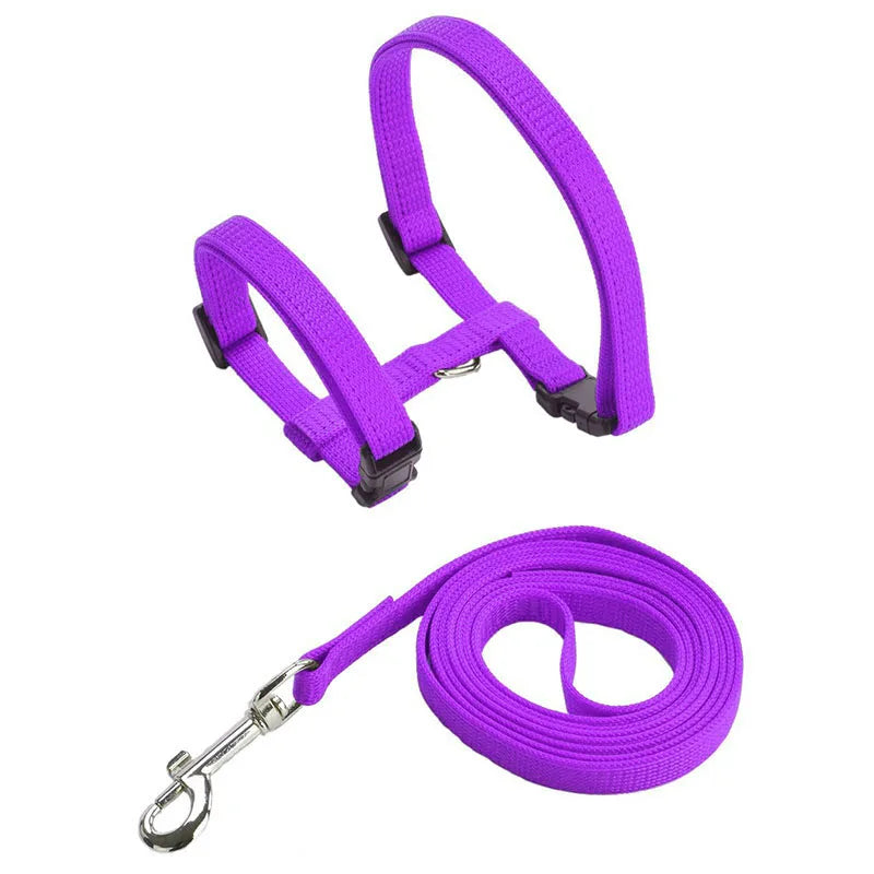 Escape-proof Small Dog Cat Harness Collar with Leash Set H Shape Choke Free Puppy Kitten Harness Soft Nylon Strap Collar for Pet