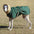 Super Warm Thick Dog Clothes Waterproof Dog Coat Jacket For Medium Large Dogs Greyhound Wolfhound Shepherd Clothing