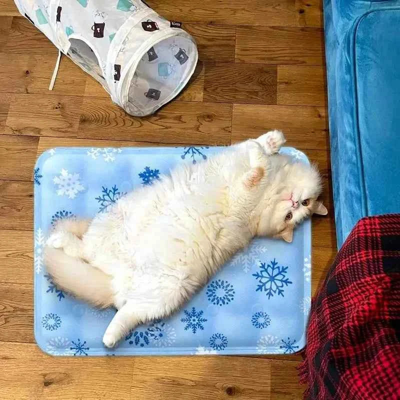 Cooling Beds Cats Accessory Accessories Dog Bed Goods Mat Houses Habitats Pet Products Cushions Puppy House Things Kitten Basket