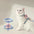 Cat Harness and Leash Sets Adjustable Dog Harness for Small Dog Leash Breashable Pet Harness Out Walking Dog Strap