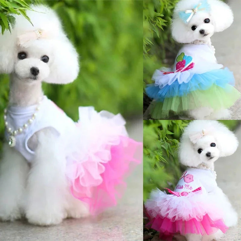 Puppy Summer Dress Dog Cat Lace Skirt Pet Clothing Chihuahua Stripe Skirt Cat Princess Apparel Cute Puppy Clothe Dog Accessories
