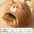Cat nest autumn and winter pet nest cat house cat bed house nest thickened warm cat sleeping cradle nest kitten kennel - Play Paws Toys
