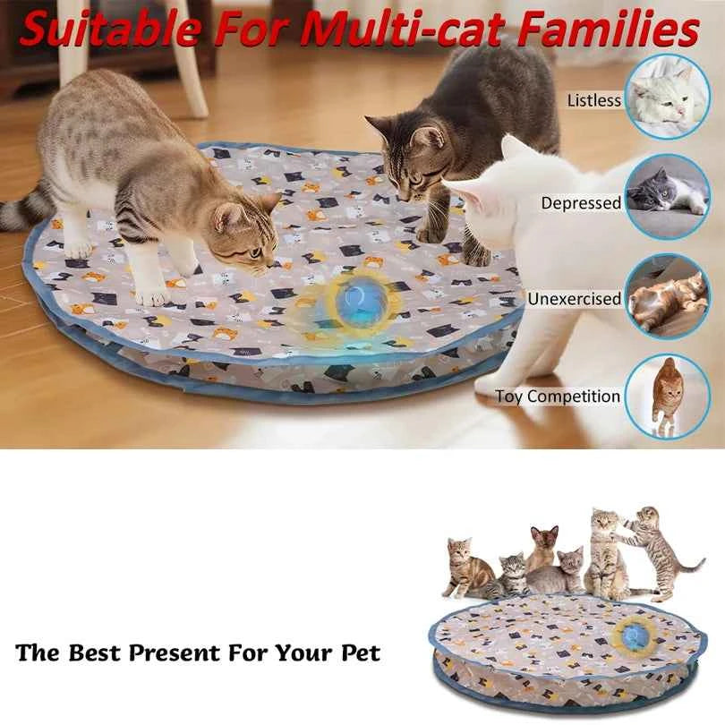 Interactive Cat Toys Ball Cover Set Fast Rolling in Pouch Hide and Seek Kitten Toy Motion Activated Interactive Cat Toy Indoor