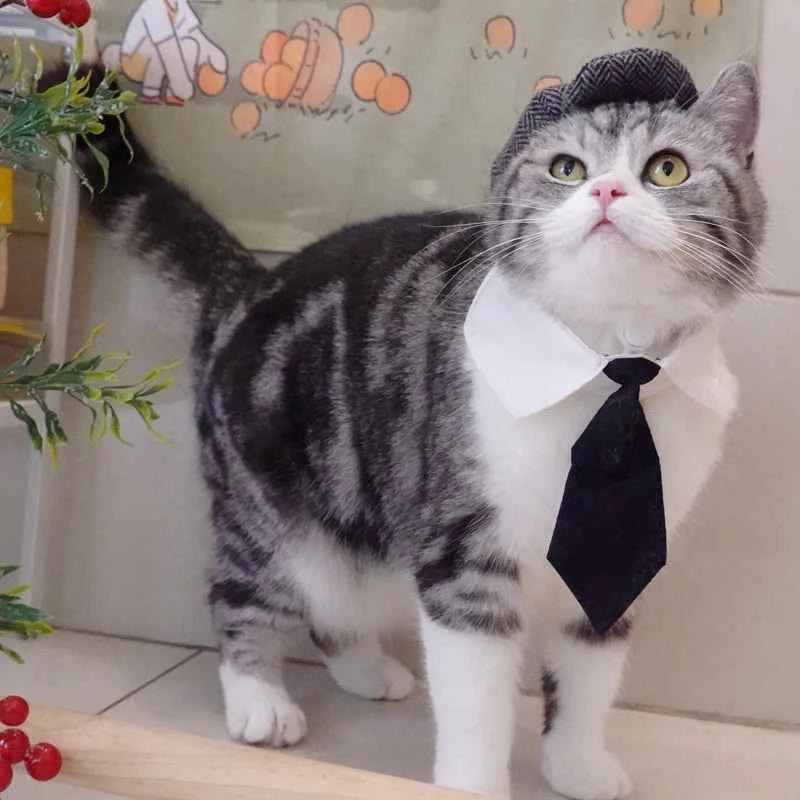 Funny Pet Cat Hat Gentleman's Hat Beret Tie Bathing Blood Gangster Handsome Cosplay Photo Prop Pet Halloween Costume