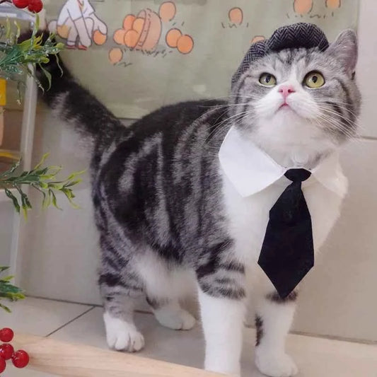 Funny Pet Cat Hat Gentleman's Hat Beret Tie Bathing Blood Gangster Handsome Cosplay Photo Prop Pet Halloween Costume