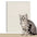 1Roll Cat Scratching Mat Self-Adhesive Trimmable Carpet Cat Scratching Post Carpet for Anti-scratching Sofa Furniture Protection
