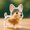 Dog Cat Hair Storage Pendant Keychain Box Couple Car Key Chains Jewelry Souvenir Pet Lover Keepsake Memorial Keychain Gift Decor