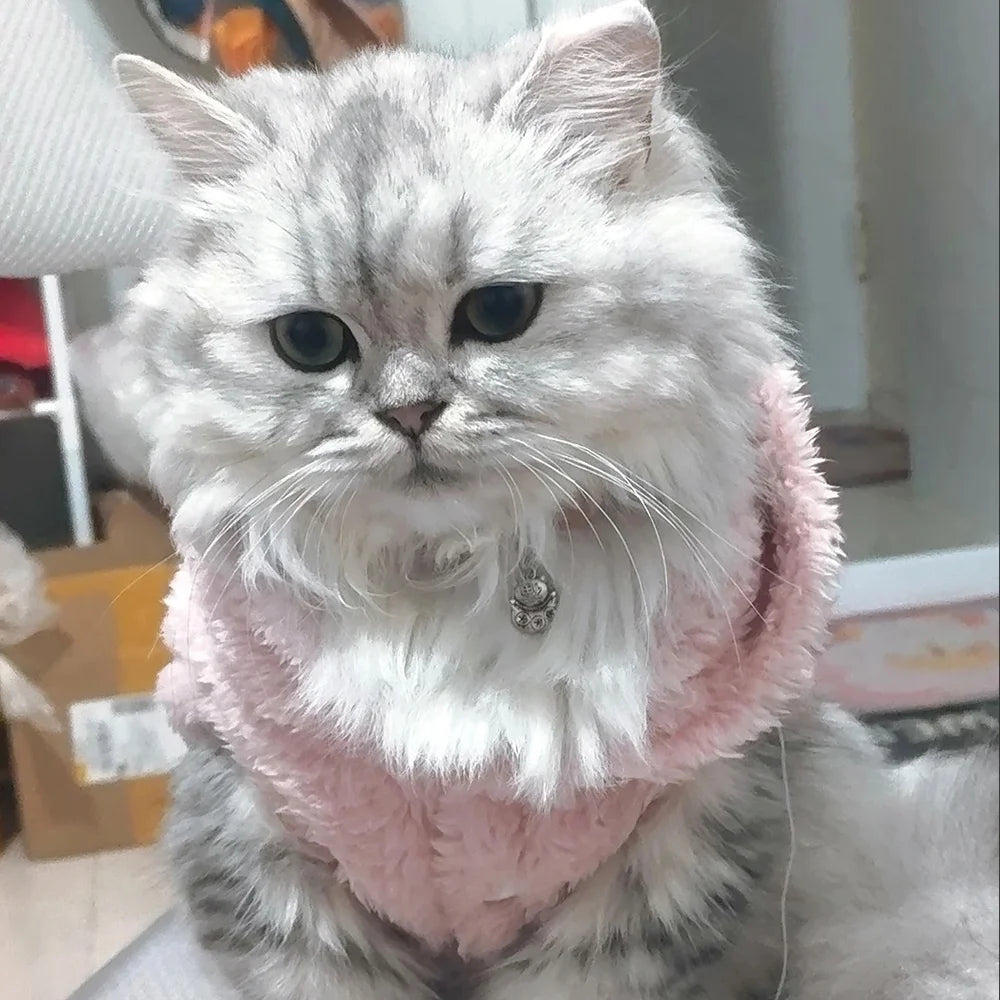 Rabbit Ears Cute Cat Clothes For Small Medium Dogs Cats Puppy Soft Pet Outfits Cozy Pets Kitty Coat Winter Warm Sphynx Hoodie - Play Paws Toys
