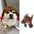 Dogs Cats Hair Hat Funny Pet Wigs Cosplay Props Costumes Head Accessories for Halloowen Christmas Gift