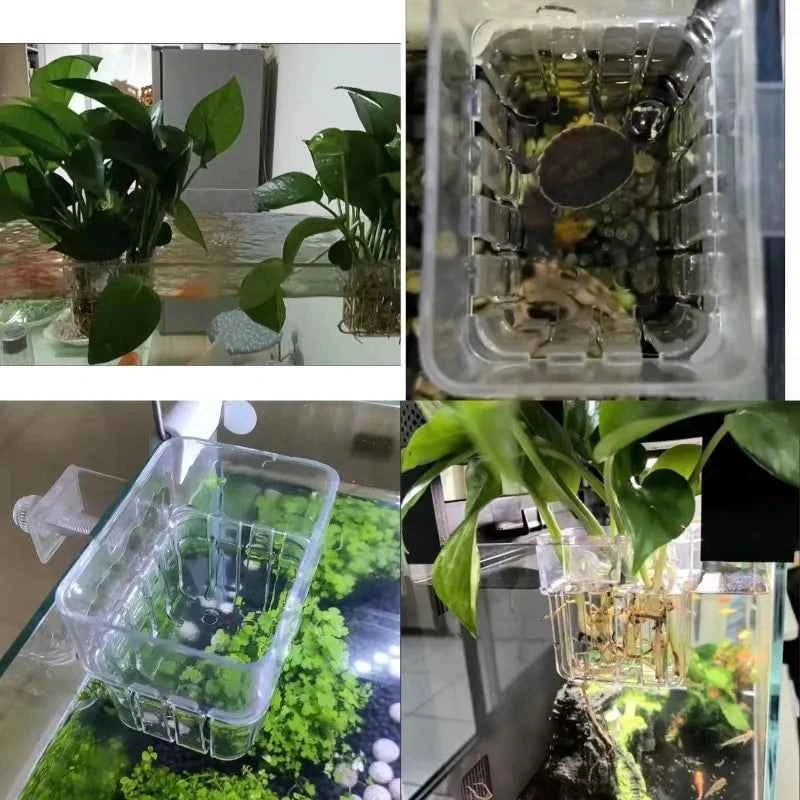 1/5pcs Aquarium Decoration Plant Cup Transparent Fish Tanks Hanging Decorations Box Pot Waterweed Cup Fish Tanks Decor Planter