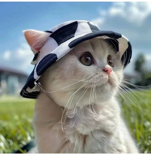 Pet Hat Cat Bucket Hat Dog Sun Hat Pet Accessories Suitable for Small and Medium Dogs and Cats