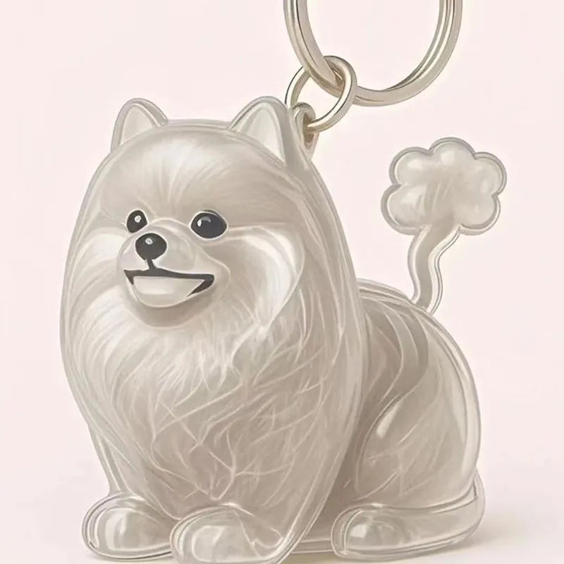 Dog Cat Hair Storage Pendant Keychain Box Couple Car Key Chains Jewelry Souvenir Pet Lover Keepsake Memorial Keychain Gift Decor