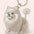 Dog Cat Hair Storage Pendant Keychain Box Couple Car Key Chains Jewelry Souvenir Pet Lover Keepsake Memorial Keychain Gift Decor
