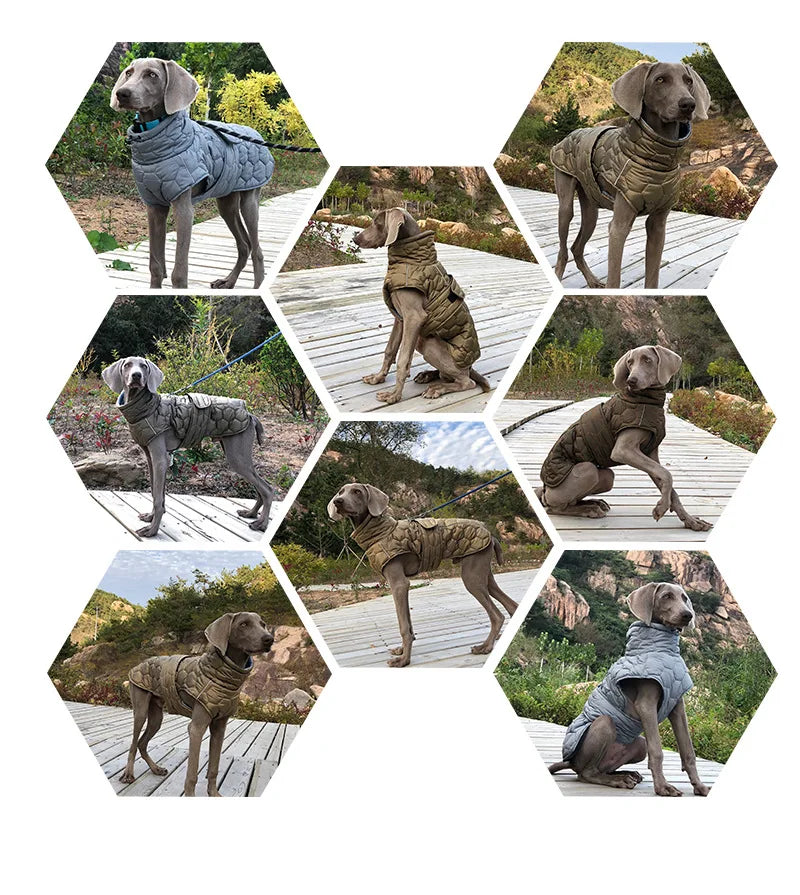 Warm Turtleneck Dog Clothes Winter Thick Reflective Snowsuit Coat Pet Jacket for Large Breed Whippet Greyhound Parka Clothing