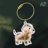 Clear Pet Hair Memorial Keepsake Capsule Dog Fur Container DIY Pendant Keychain Decor Animal Lovers Home Display Gift Idea
