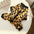New Small Dinosaur Transforming Dog Clothes Autumn Winter Flannel Warm Teddy Cat Pet Clothes Dog Jumpsuits Rompers