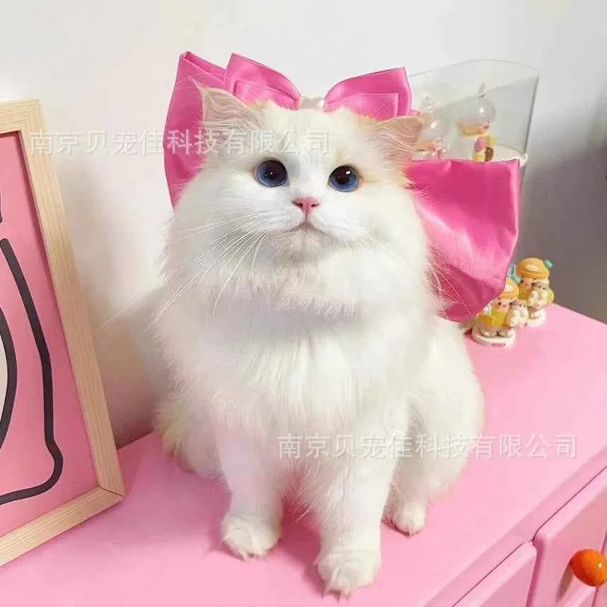 Mary Cat Bow Tie Pet Collar Scarf Cat Necklace Decoration Bichon Puppy Leash Toy Cat Home Garden Pet Supplies Accessories