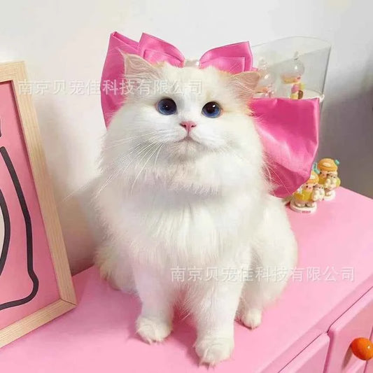 Mary Cat Bow Tie Pet Collar Scarf Cat Necklace Decoration Bichon Puppy Leash Toy Cat Home Garden Pet Supplies Accessories