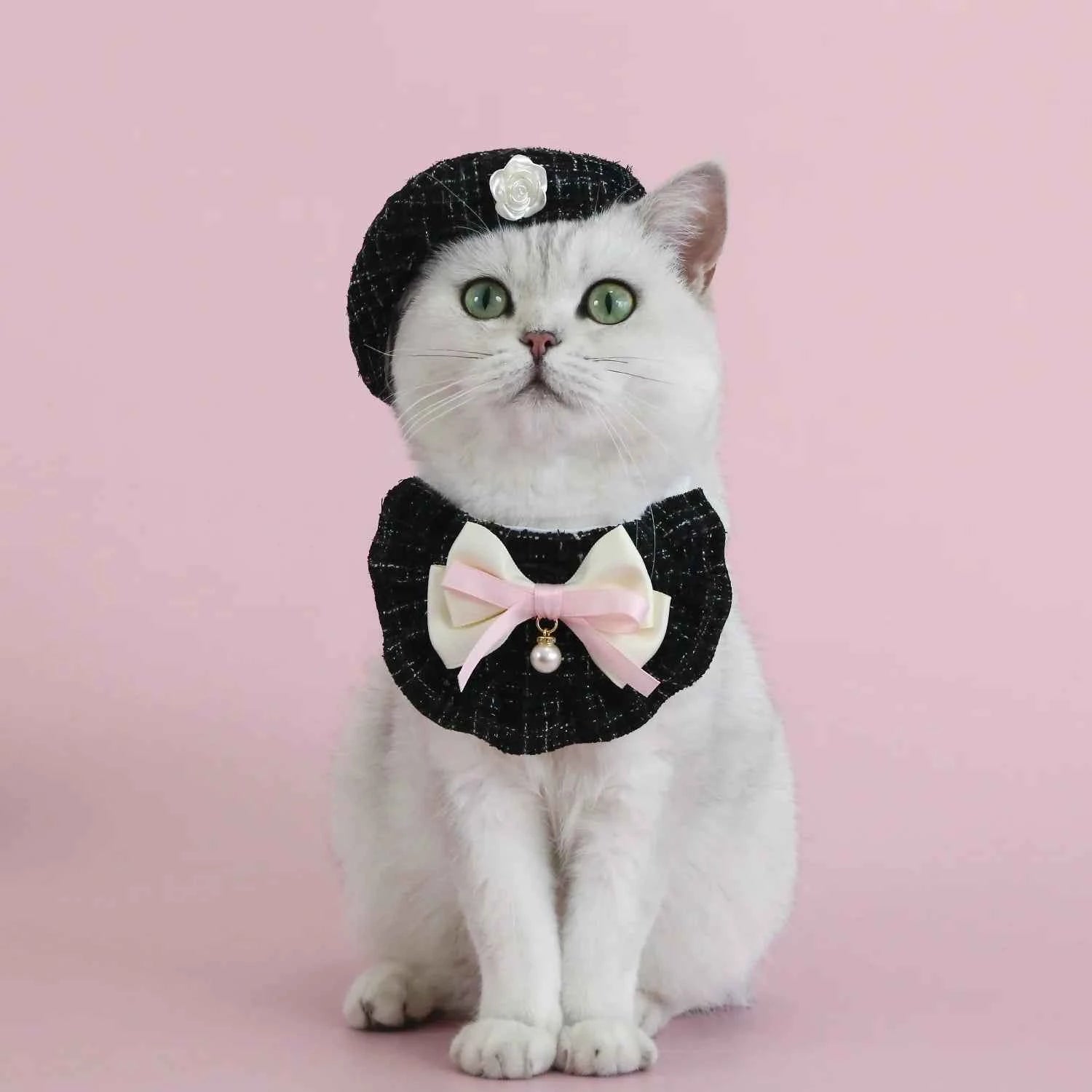 1pc Elegant Pet Princess Outfit Set - Chic Beret, Pearl Bow & Floral Bib for Cats and Small Dogs