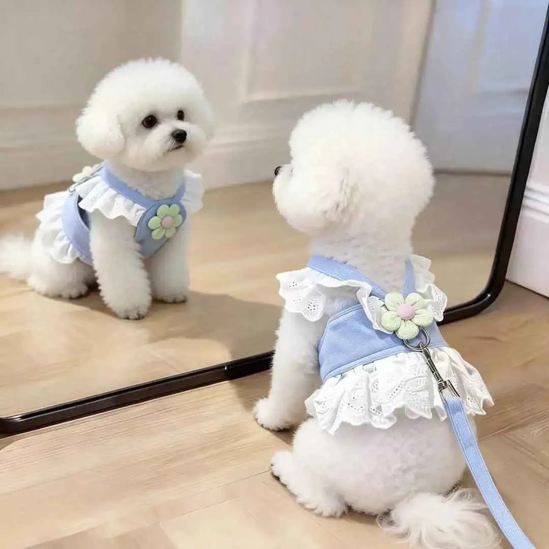 Floral Lace Pet Harness Dress with Leash, Ruffle Edge Vest Outfit for Small Dogs and Cats, Breathable Walking Harness