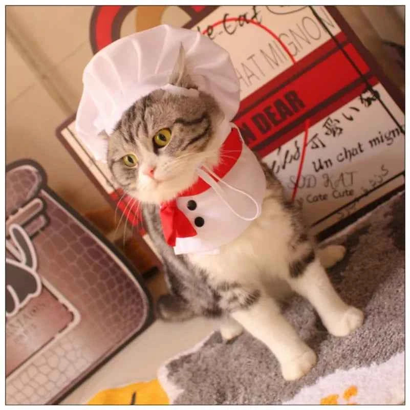 Funny Cat Chef Costume,Party Cosplay Outfit with Hat for Kittens, Cute Cooking Baker Pet Dress Up Party Apparel Free Shipping