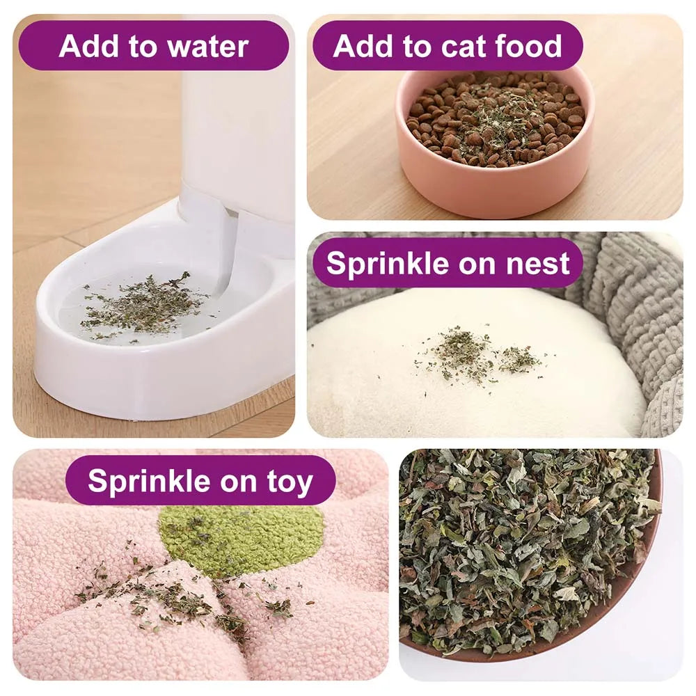 Organic 100% Natural High Quality Catnip Cattle Grass Mint Taste Funny Cat Toy New Cat Toy Interactive Cat Toys Pet Supplies