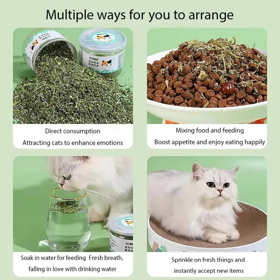 Organic 100% Natural High Quality Catnip Cattle Grass Mint Taste Funny Cat Toy New Cat Toy Interactive Cat Toys Pet Supplies