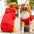 Dog Winter Coat  Pet Jacket Plaid Reversible  Vest Cold Weather Dog Clothes Pet Apparel for Small Medium Large Dogs