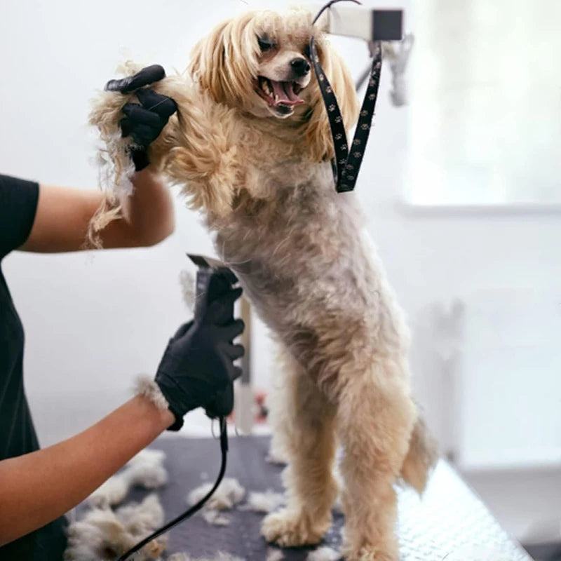 Black 7FC 5FC 4FC 3FC #10 #30 #40 5/8 Professional Dog Clipper A5 Blade Fit Most Andis & Oster Pet Clippers