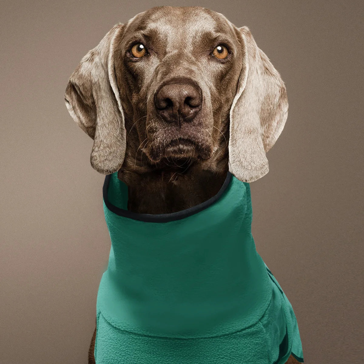 Clothes For Large Dogs Winter Warm Big Dog Vest Jacket  Pet Dogs Coat Greyhound Doberman Clothes For Medium Large Dogs