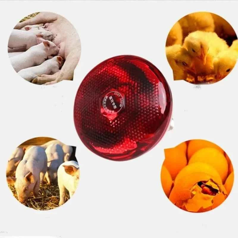 E27 Poultry Heating Lamp Breeding Bulb For Pigl High Quality 100/150/200/250/275W LED Light Pet Brooder Hatch Chick Heater Bulb